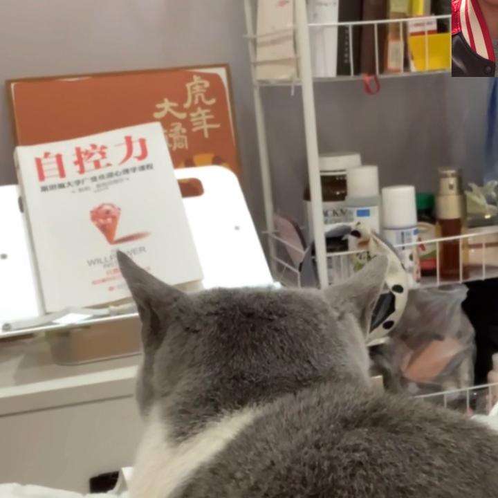 Leon玩音乐