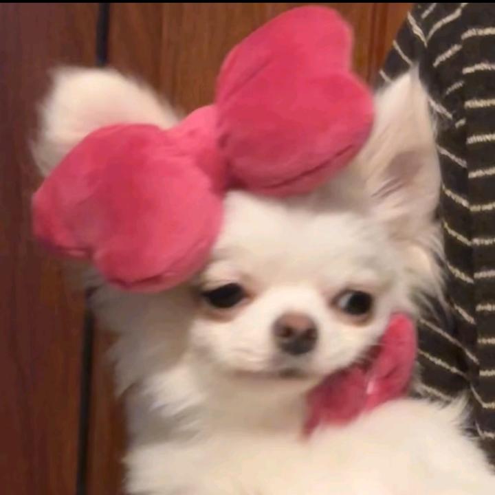 秋.