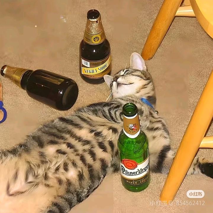 三寒