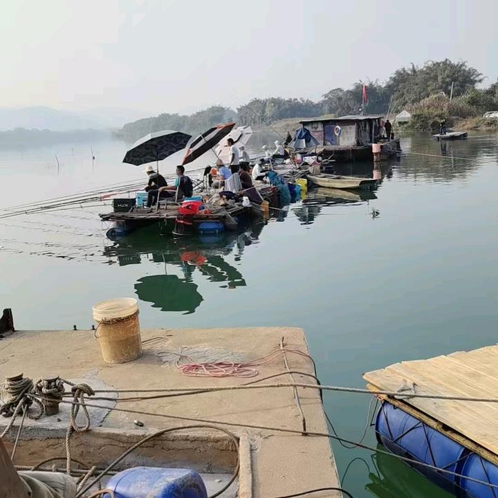 佛系🎣青春
