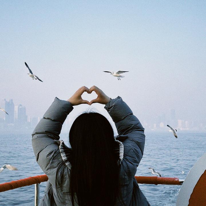 大丽士（清小沛）