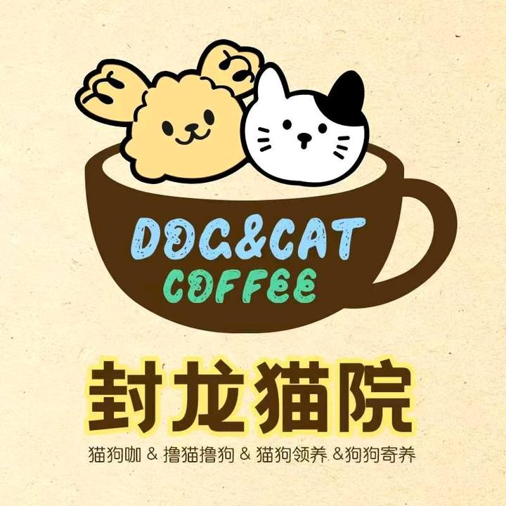 点点的毛孩子们