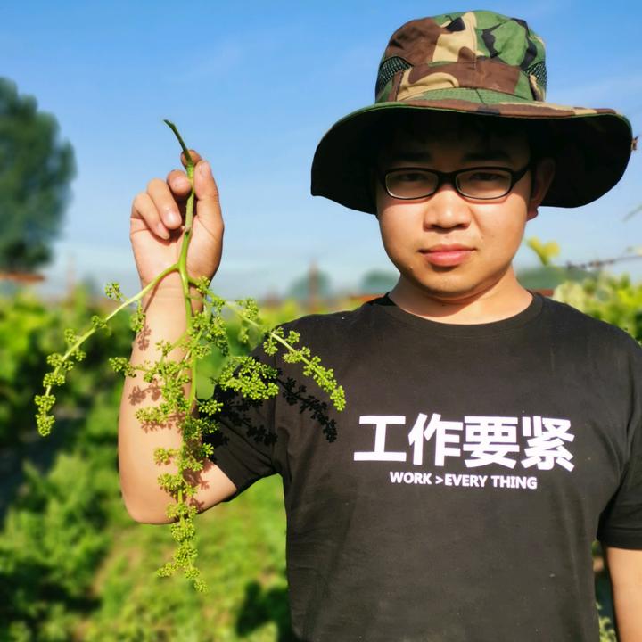 郑果所李道春-葡萄资源