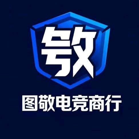 图敬电竞商行（三角洲碰碰车）