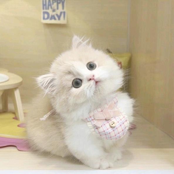 暮暮