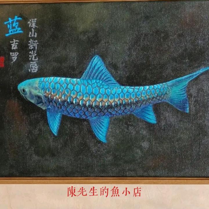陈先生的鱼小店
