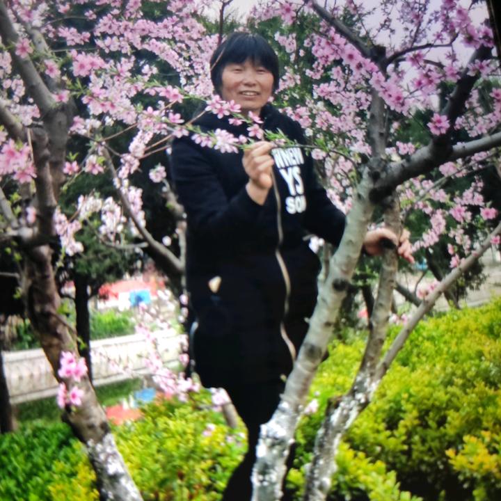 杨凤玲头像