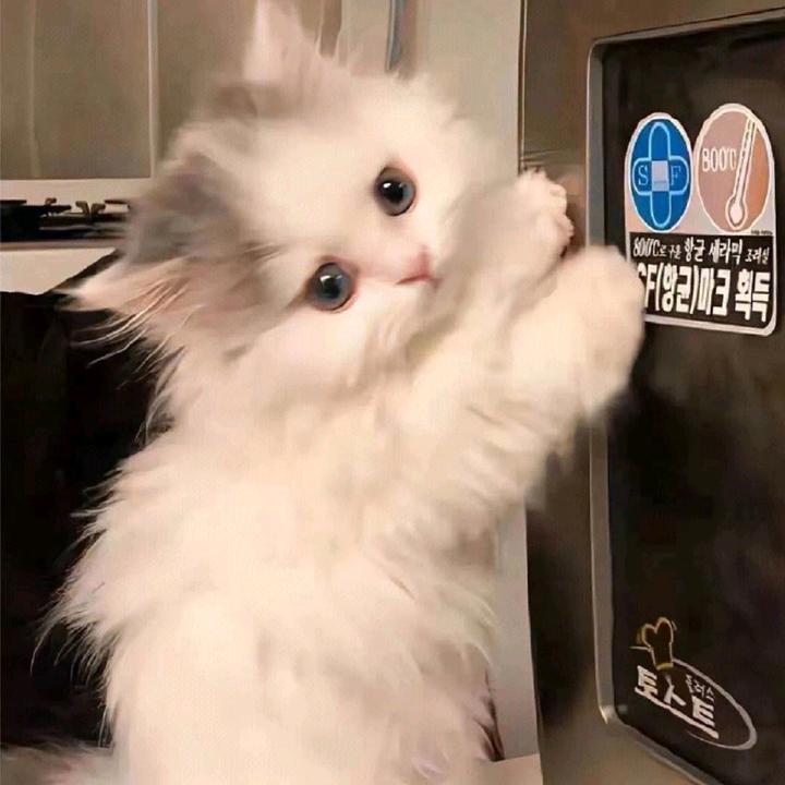 云层贩卖机