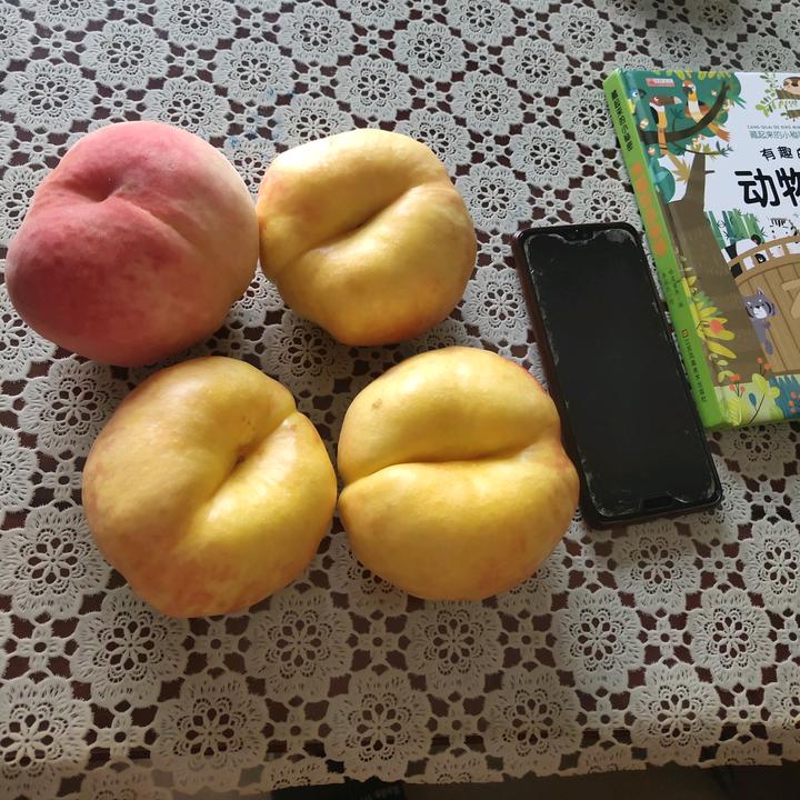 小炎蟠桃（河北）