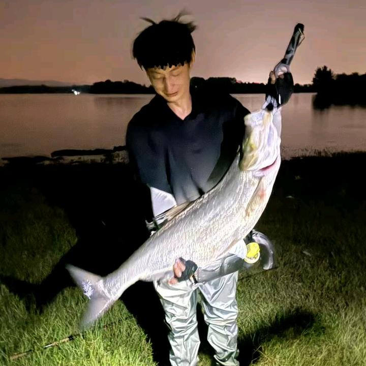 路亚陈湿护