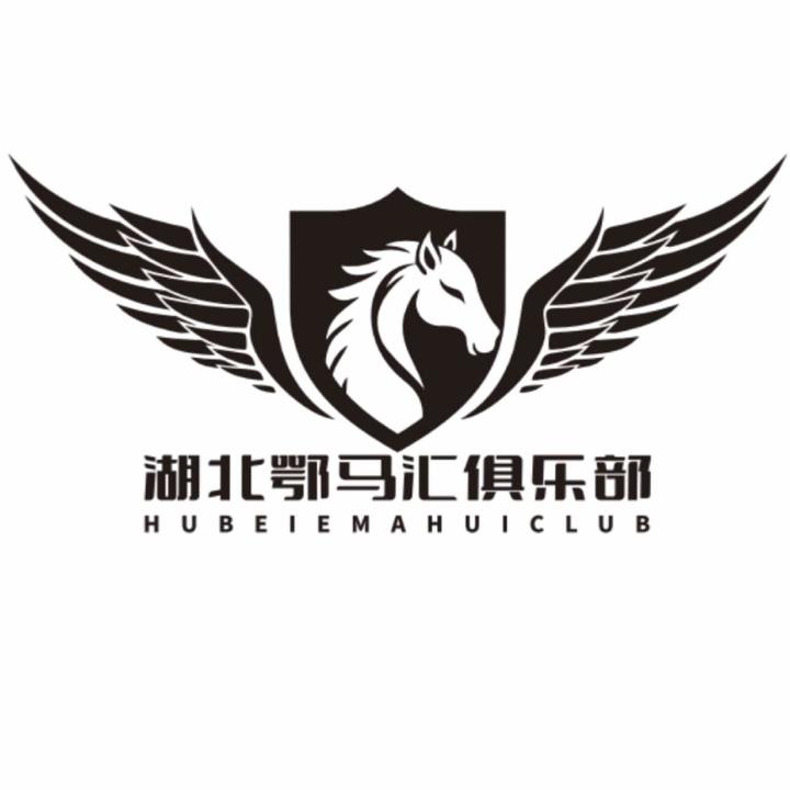 湖北鄂马汇俱乐部